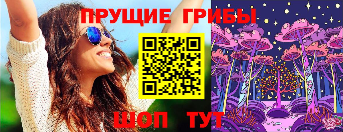 Псилоцибиновые грибы Psilocybe  Вход с VPN  Лесозаводск 