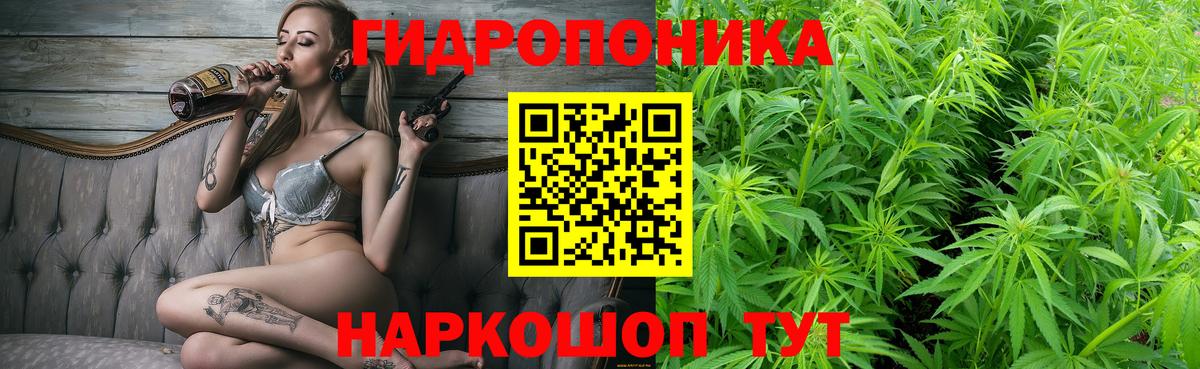 Бошки марихуана марихуана  Вход с VPN  Лесозаводск  Шишки марихуана THC 21%  Конопля Amnesia 